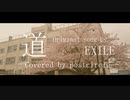 EXILE - 道 Covered by ポストサークル(postcircle)