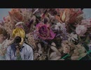 優里(yuuri) - ドライフラワー(Dry flower) Covered by ポストサークル(postcircle)