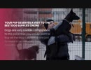 Does Your Dog Love You?