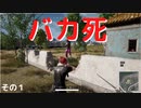 【PUBG】バカ死その１【死亡集】