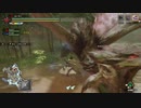 [MHR] 俺の嫁を一人前のハンターにする！～vｓ優美高妙編～part39
