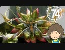 おばちゃんがFF12を実況プレイ part74