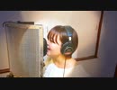 【 am2:00cat 】Dynamite@歌ってみた