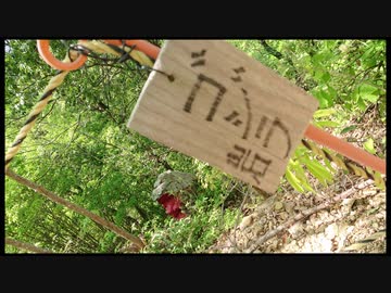 【リアル登山アタック】百々ヶ峰三田洞ルート　58：53