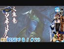 【実況】MHRISEやる！【20】