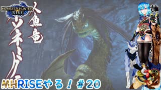 【実況】MHRISEやる！【20】