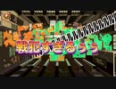 【スプラトゥーン2】ポンコツハイカスやらせて頂いてます□