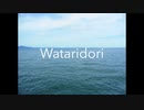 【オリジナルインスト】Wataridori