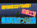 釣り動画ロマンを求めて 403釣目（横須賀海辺つり公園）