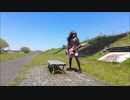S.O.D. 「pi alpha nu」弾いてみた