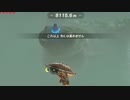 依頼を受けて、ＢｔＢとパラセールのみで鳥人間中にサイハテノ島に到着してみた