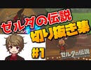『生放送切り抜き集』ゼルダの伝説を世界一楽しそうにプレイする男【ゼルダの伝説BotW】#1