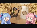 【ItTakesTwo】It琴葉姉妹03