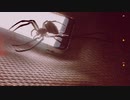 蜘蛛手に巻かれ / 苔氏 feat.初音ミクNT【沢田凛Remix】