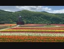 2021/05/22放送【50日目 北海道 上湧別 かみゆうべつチューリップ公園】北海道全市町村制覇するまで帰れまてん！　猫と車中泊の旅　日本縦断【旅猫あずき～保護猫から旅猫へ～】