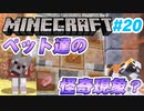 【Minecraft】初心者と一緒にのんびりマイクラ生活#20【女性２人実況】