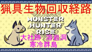 【MHRise】猟具生物を駆使したいあなたへ