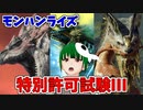 ここから始まるアーチャー伝説　#9【MONSTER HUNTER RISE】