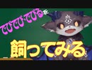 【でびでび・でびる】でびでび・でびるを飼ってみる