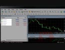 gold-pattern.comen-MT4チュートリアル-マーケットウォッチマイクロアカウント