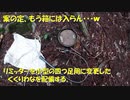 （わな追加配備）変態忍者の、有害鳥獣駆除従事活動記・その１５７