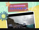Hawaiiでやえ〜！Vol.2