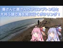 【琴葉姉妹車載】葵さんと茜さんがブロンプトン君と大井ふ頭で海を見に行くポタリング！【自転車車載動画】