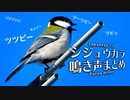 シジュウカラの鳴き声まとめ1