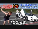 【100m走】ランボルギーニvsヒカキン族！！誰なら勝てるのか全力で検小便!!【アヴェンタドールS】