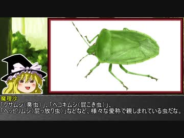 ゆっくり霊夢とやる夫が学ぶ 昆虫大百科 part30