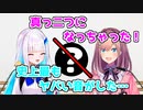 想定外のモノをデストロイしてしまい全力で謝罪する鈴原るる【リゼるるListen/にじさんじ切り抜き】