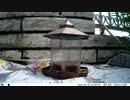 トレイルカメラで雀撮ってみた　20210523　