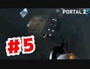 【実況】めっちゃ飛ぶ凄い装置【Portal2】#5