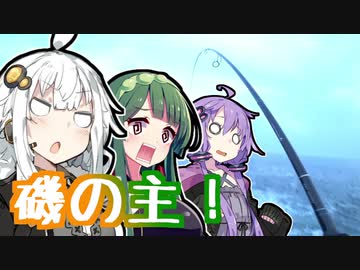 あかりの食材調達日誌 part.7 遭遇、磯の主！