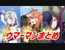 【ランキング】ウマーマンデータまとめマン