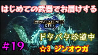 【MHRise】#19 はじめての武器でお届けするドタバタ珍道中 【☆3 ジンオウガ】