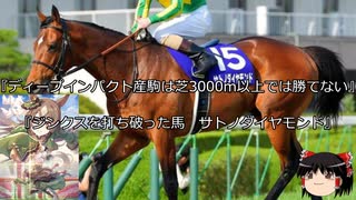 【競馬】ゆっくりさんと未来に語り継ぎたい名馬たち その022【ゆっくり朗読】