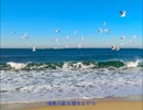 【初音ミク】Seabird【プロセカNEXT応募曲】