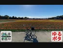 【自転車】多摩川近辺ゆるポタ編【動画祭】