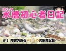 【水槽始めました】#1障害のあるドジョウの飼育記録