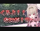 魔界ノりりむ「くるよ！！なにが！？」