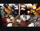 サガフロンティア エミリアのテーマ 演奏してみた