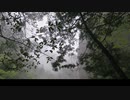 [雨と霧の中、秘境を追い求めて]大杉谷/Mountain log.2
