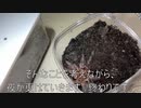 [巨大な蜘蛛]タランチュラ飼育日記その１９２[若干、怖くなってきた]