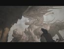 バイオ村Zにお邪魔してみた。＃１０