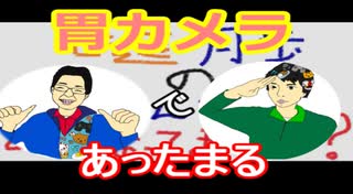 【ラジオ】日進月歩ののどちんこあったまってますか？～胃カメラ飲みました～