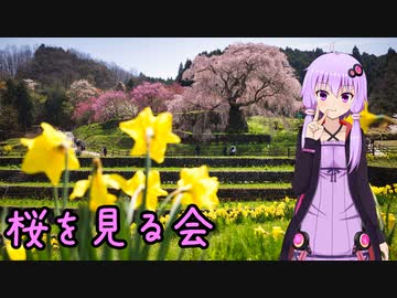 近畿おバイク風景案内１０ 奈良の桜を見る会【V-STROM1050XT】