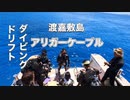 渡嘉敷島・アリガードリフトダイビング