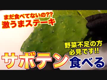 【ダイエット必見】サボテン焼いて食べたら、美味すぎた!!