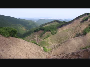 ヤマツツジ咲く高水三山